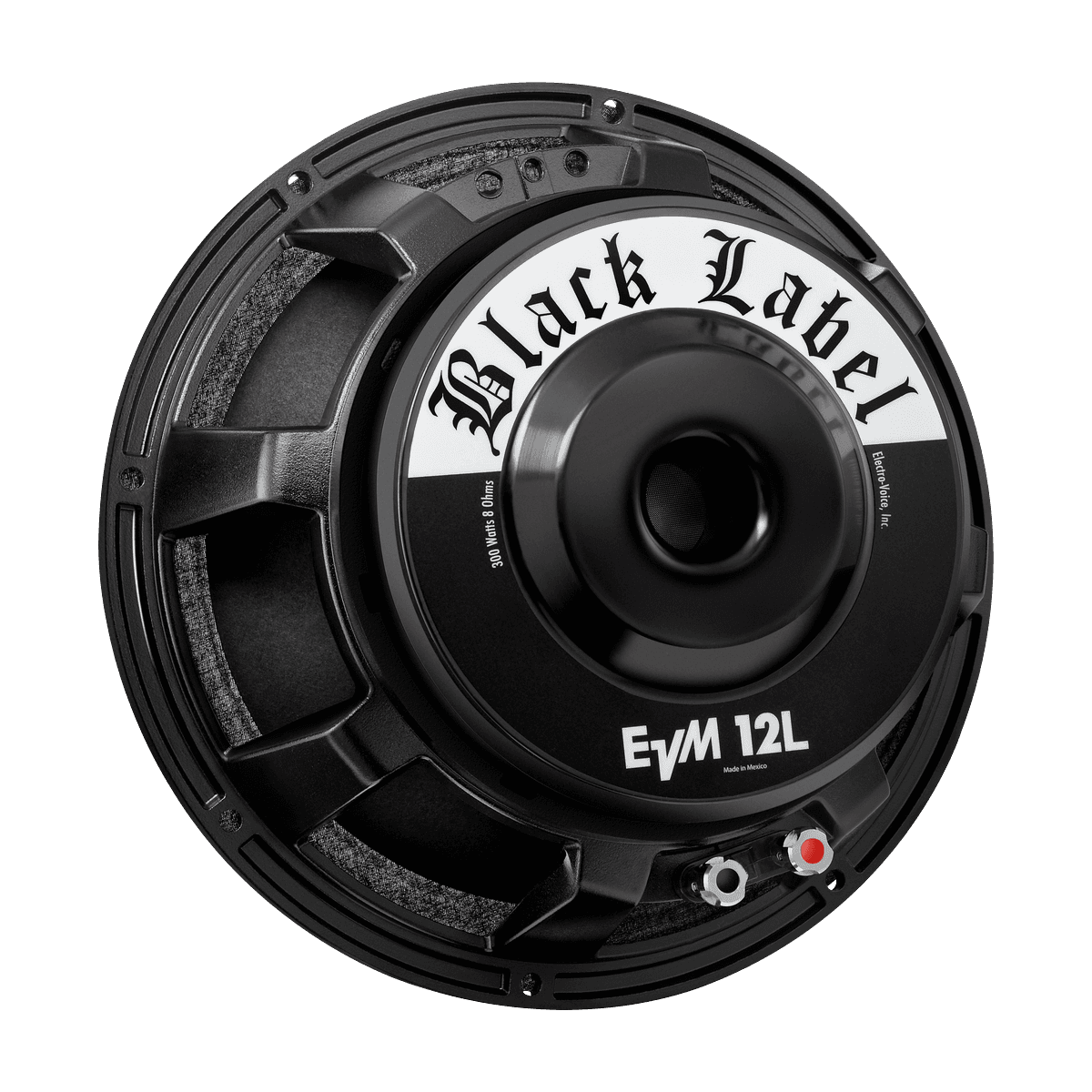 Electro-Voice EVM-12L Blk Lbl 8